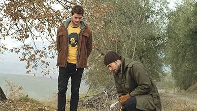 पोस्टर देखें