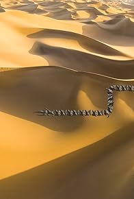 Primary photo for Shai-Hulud