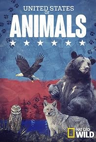 Primary photo for United States of Animals Primary photo for United States of Animals