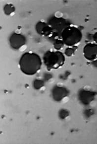 Primary photo for Fountain