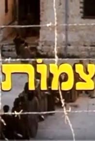 Primary photo for Braids