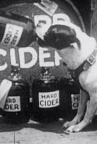 Primary photo for Alcohol Myths Primary photo for Alcohol Myths