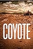 Primary photo for Coyote Primary photo for Coyote