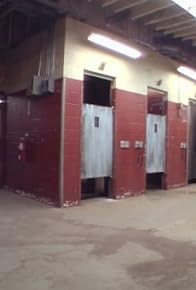 Primary photo for Pregnant with a Mutant