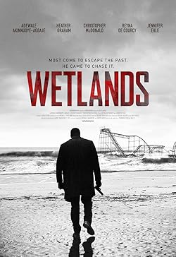 Poster of Wetlands
