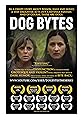Dog Bytes's primary photo