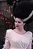 Primary photo for The Runaway Bride of Frankenstein Primary photo for The Runaway Bride of Frankenstein