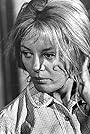 Sheree North's primary photo Sheree North's primary photo