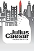Primary photo for Julius Caesar Primary photo for Julius Caesar