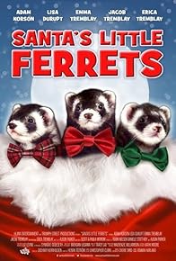 Primary photo for Santa's Little Ferrets Primary photo for Santa's Little Ferrets