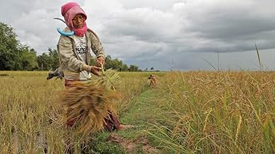 पोस्टर देखें