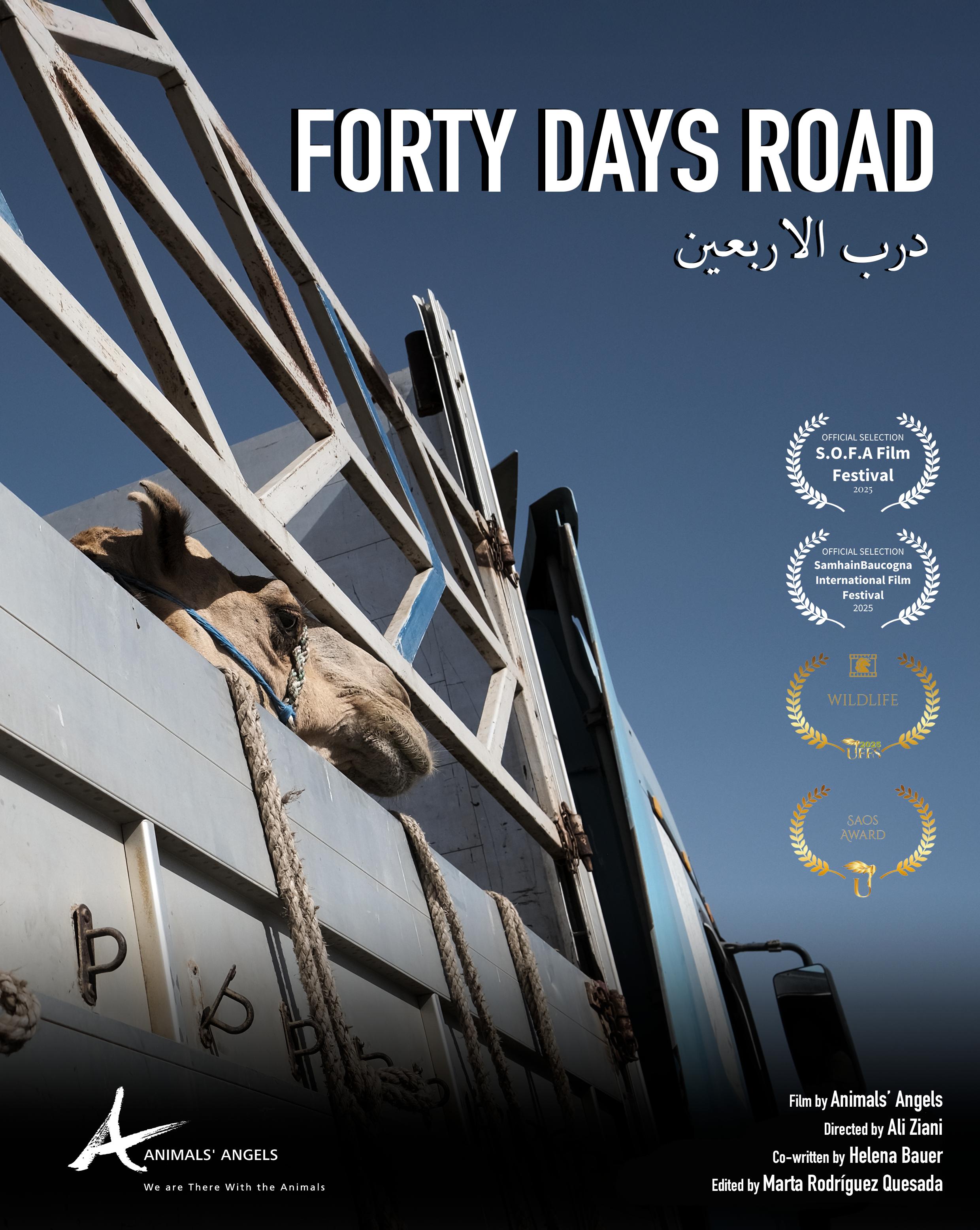 Forty Days Road