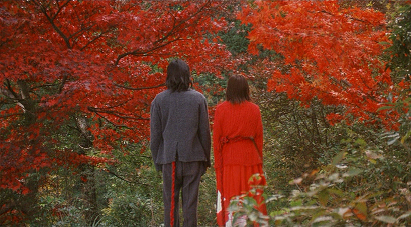 「Between Maple and Chestnut」写真集 Brian Minter: Stunning maples provide an eye-catching fall