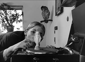 पोस्टर देखें