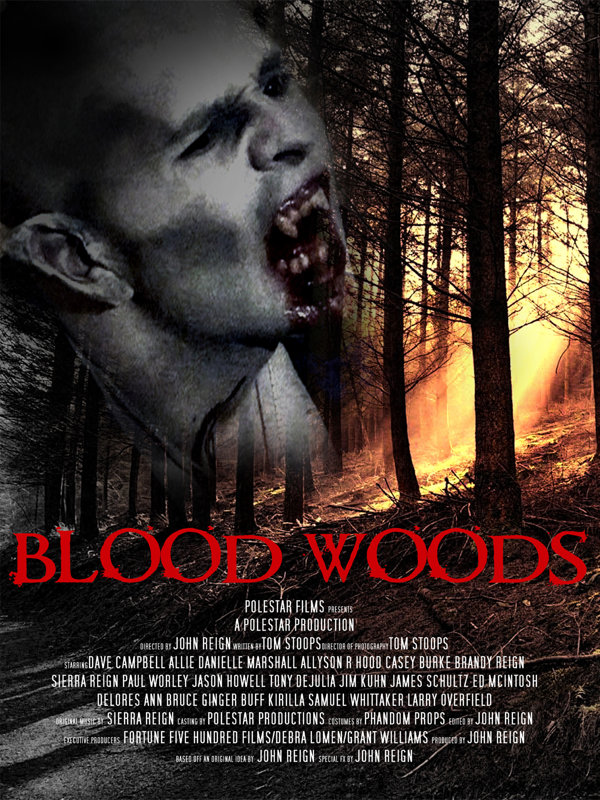 Poster of Blood Woods