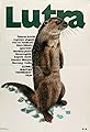 Lutra's primary photo