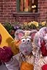 Primary photo for Who'll Replace the Big Bad Wolf?