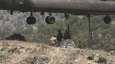 पोस्टर देखें