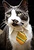 Primary photo for The Real Cat Therapist of Beverly Hills Primary photo for The Real Cat Therapist of Beverly Hills