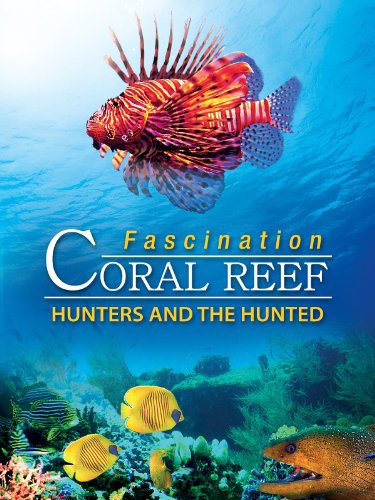 Fascination Coral Reef 3D: Hunters & the Hunted (2012)