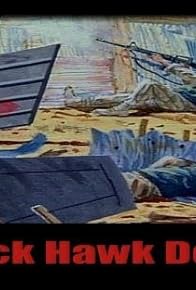 Primary photo for Black Hawk Down
