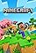 Minecraft's primary photo