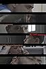 Primary photo for Release: Incarceration & Re-Entry Primary photo for Release: Incarceration & Re-Entry