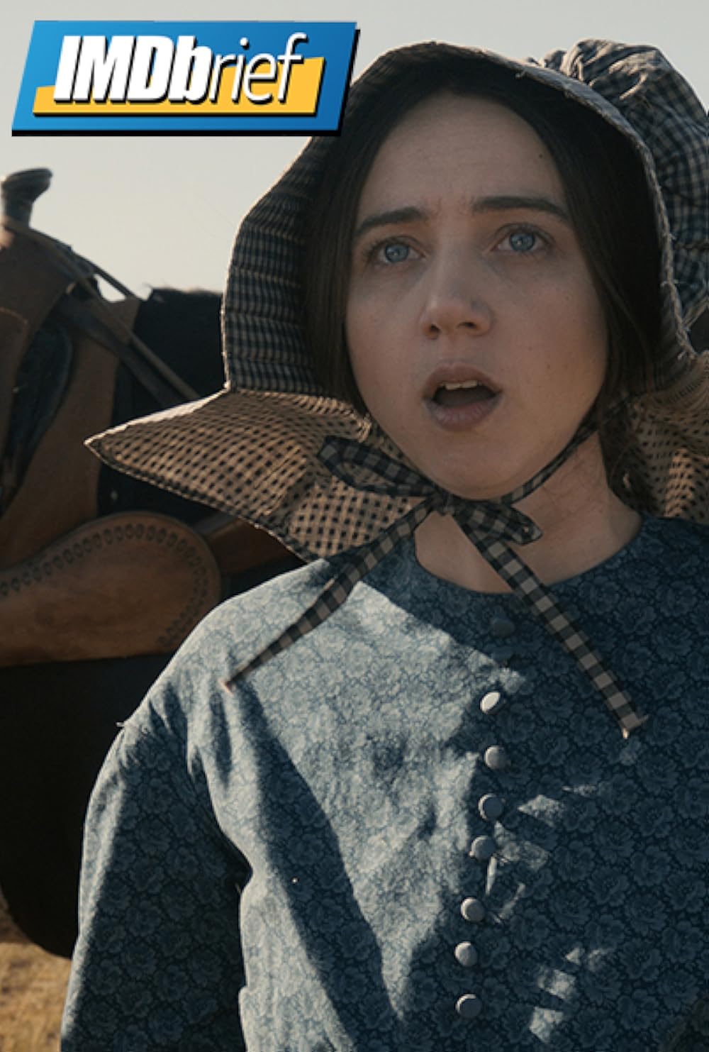 "IMDbrief" 'Buster Scruggs' The Coen Bros.' Misunderstood