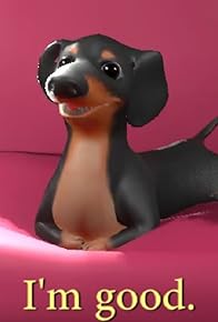 Primary photo for Dog of Wisdom II