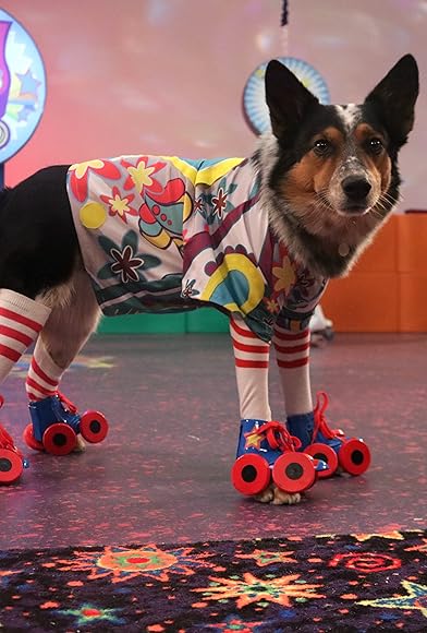 Primary photo for Roller Dogs Primary photo for Roller Dogs