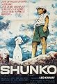 Shunko's primary photo