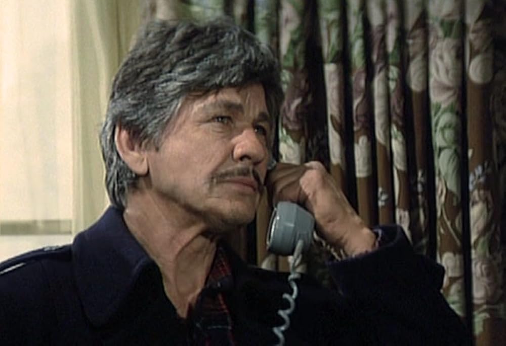 Love and Bullets (1979)