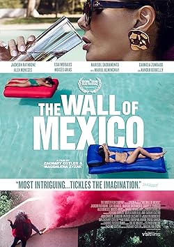 Poster of The Wall of Mexico