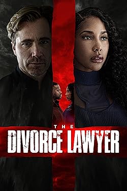 Poster of The Divorce Lawyer