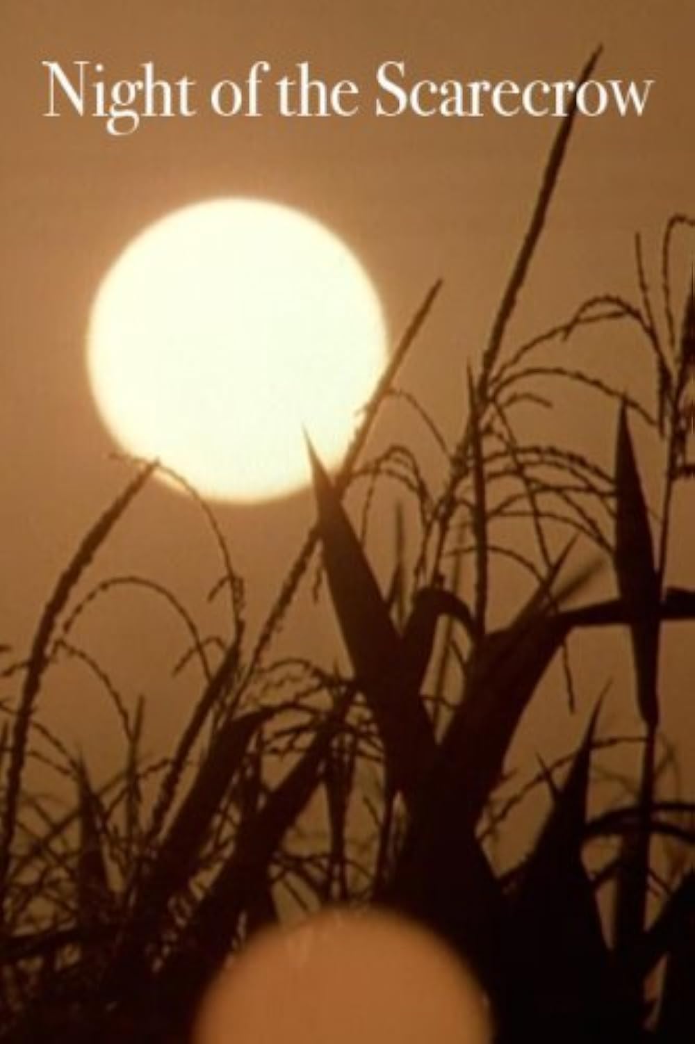 Night of the Scarecrow (1995) Night of the Scarecrow (1995)