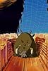 Primary photo for Digimon Soushutsugeki! Kaze ni Mukatte Susume Primary photo for Digimon Soushutsugeki! Kaze ni Mukatte Susume
