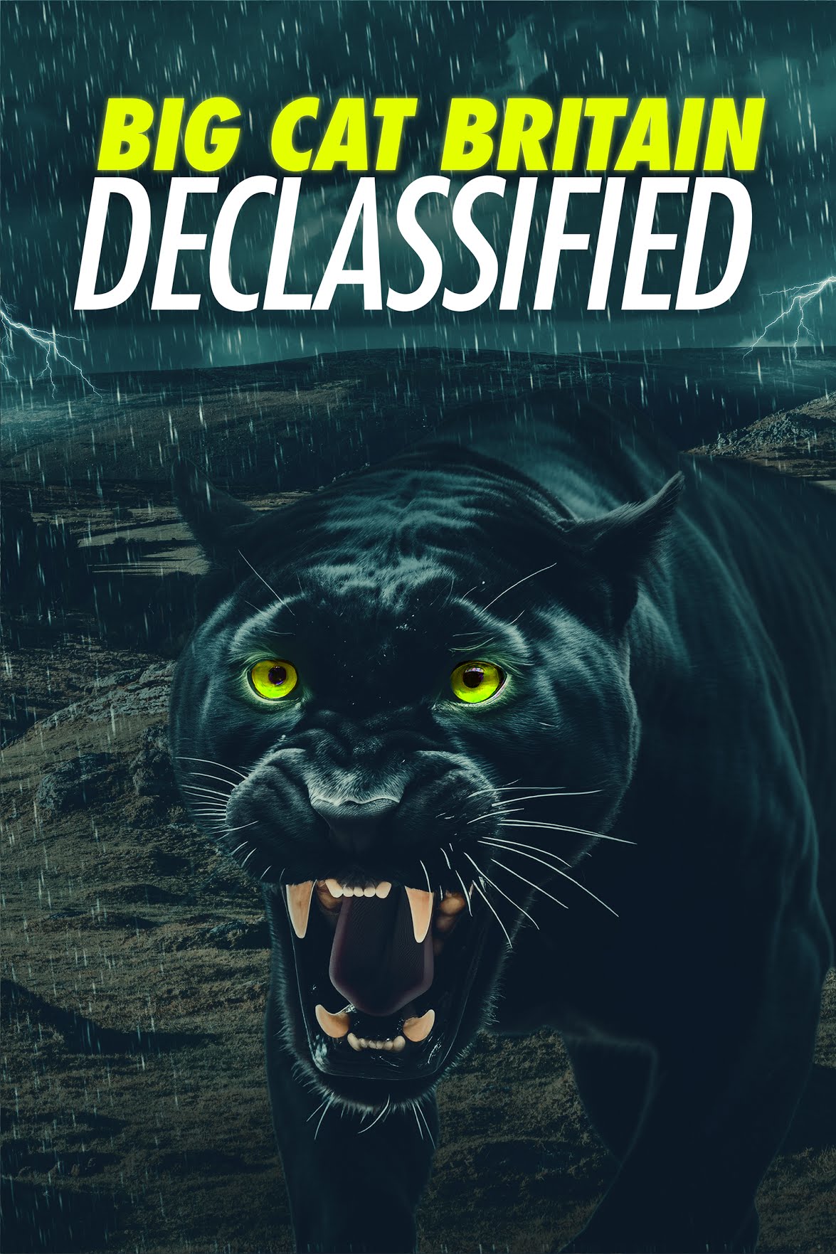 Poster of Panthera Britannia Declassified/Big Cat Britain Declassified