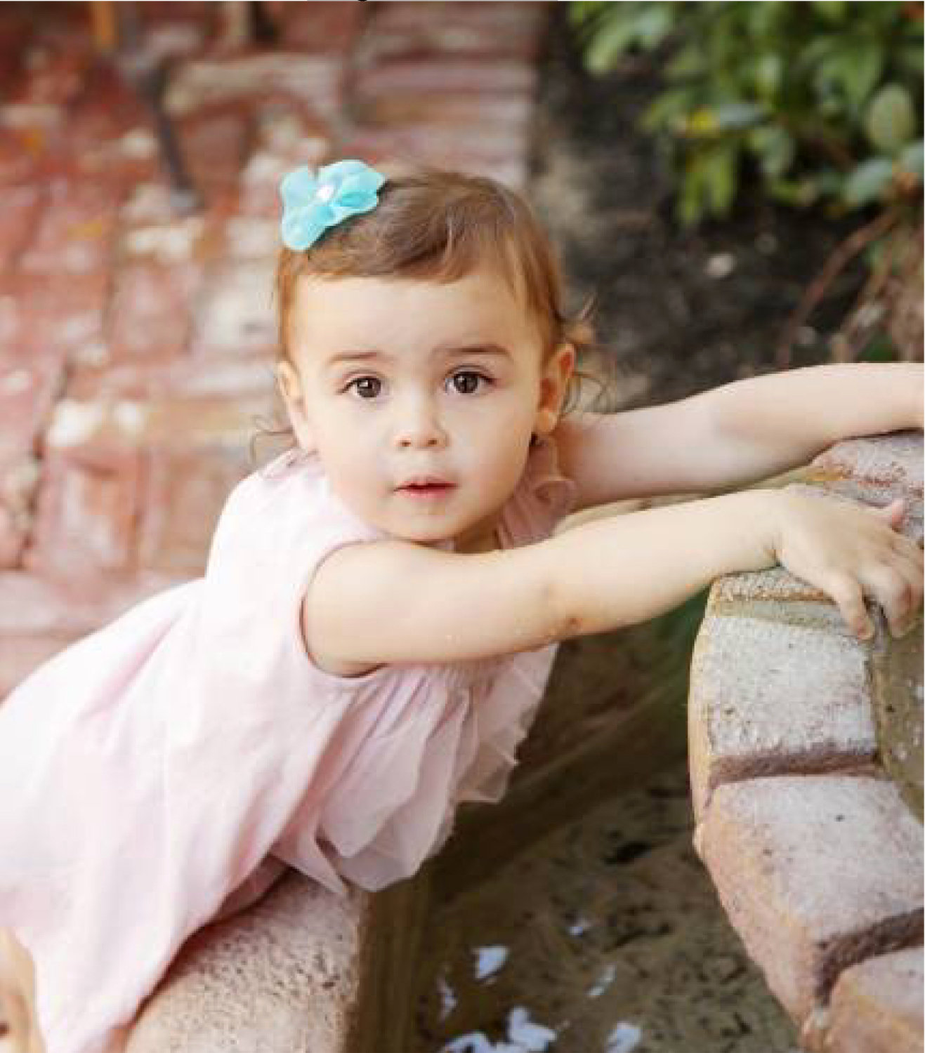 Animal Crackers (Pentimenti) (2012)