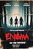 Primary photo for Enigma in the Woods Primary photo for Enigma in the Woods