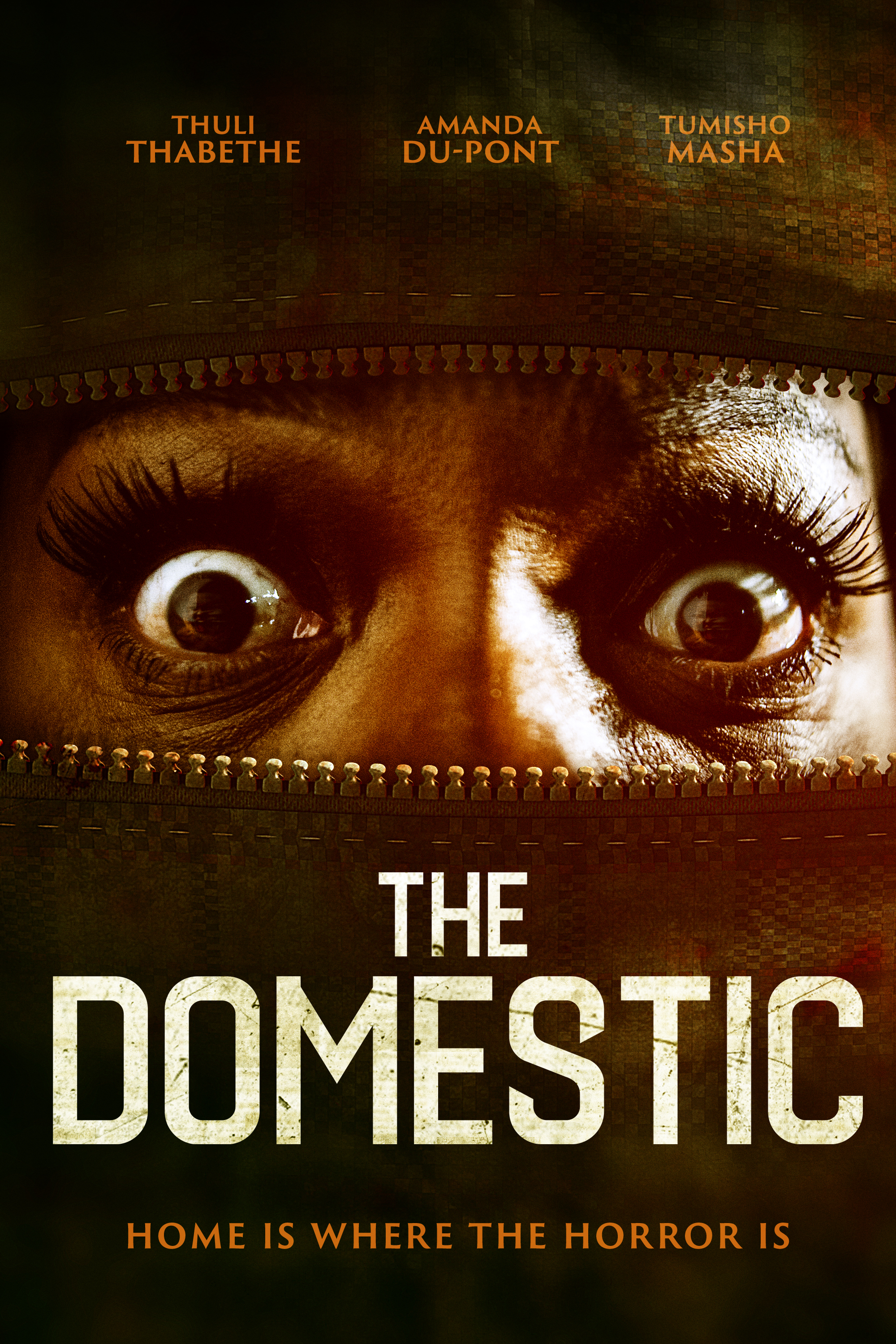 Poster of The Domestic