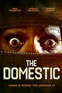 Poster of The Domestic