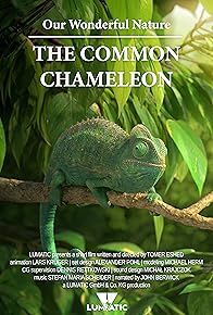 Primary photo for Our Wonderful Nature - The Common Chameleon