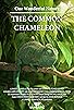 Primary photo for Our Wonderful Nature - The Common Chameleon Primary photo for Our Wonderful Nature - The Common Chameleon