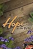 Primary photo for Hope in the Wild Primary photo for Hope in the Wild