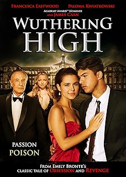 Poster of Wuthering High School
