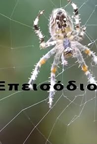 Primary photo for To symplegma tis arahnis