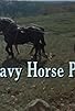 Primary photo for Heavy Horse Pull Primary photo for Heavy Horse Pull