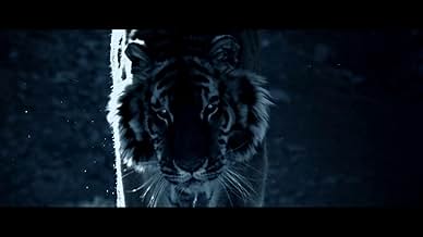 पोस्टर देखें