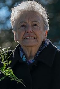 Primary photo for Margaritas silvestres