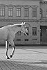 Primary photo for Laikas eina per miesta Primary photo for Laikas eina per miesta